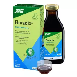 FLORADIX Iron plus B12 vegaaninen tonic, 250 ml