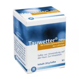 TAUWETTER SALBE Uusi, 20g