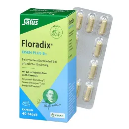 Floradix iron plus B12 vegaaniset kapselit, 40 kpl