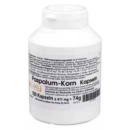 PASPALUM Korn Capsules, 180 kpl