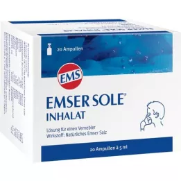 EMSER ainoa inhalat -liuos F.E.verber, 20 kpl