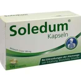 SOLEDUM 100 mg mahalaukun resistenttejä kapseleita, 100 kpl