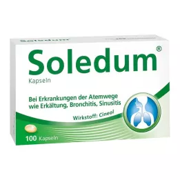 SOLEDUM 100 mg enterokapselit, 100 kpl