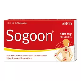 SOGOON 480 mg kalvopäällysteiset tabletit, 20 kpl