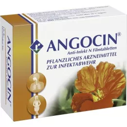 ANGOCIN Anti -infektio N -kalvopäällystetyt tabletit, 100 kpl