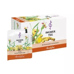 INGWER TEE Suodatinpussit, 20X2 g