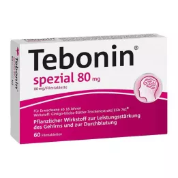 TEBONIN Erityiset 80 mg -kalvopäällystetyt tabletit, 60 tuntia