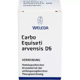 CARBO EQUISETI arvensis D 6 Trituraatio, 20 g