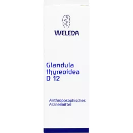 GLANDULA THYREOIDEA d 12 laimennus, 50 ml