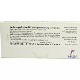 LEDUM PALUSTRE D 6 Ampules, 8 kpl