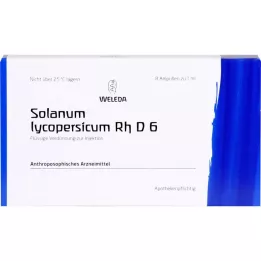 Solanum Lycopersicum RH D6, 8 kpl