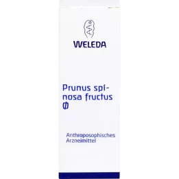 Prunus spinea fructus luonnollinen tinkture, 50 ml