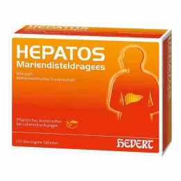 HEPATOS Maitoohdaketabletit, 100 kpl