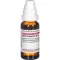 ARUM TRIPHYLLUM D 12 Laimennus, 20 ml