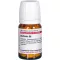 Berberis D 8, 80 kpl