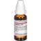 ERGOTINUM D 12 Laimennus, 20 ml