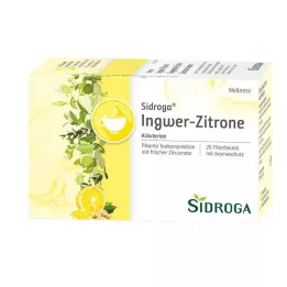 SIDROGA Wellness inkivääri-sitruunateesuodatinpussit, 20x2,0 g