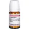 Foeniculum D 2, 80 kpl