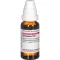 SYMPHYTUM D 10 Laimennus, 20 ml