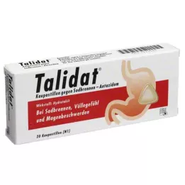 TALIDAT Purupastillit närästystä vastaan, 20 kpl