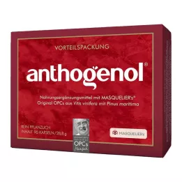 OPC ORIGINAL Masqueliers Anthogenol kapselit, 90 kpl