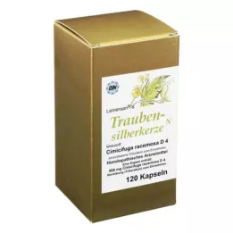 TRAUBENSILBERKERZE Kapseln, 120 kpl