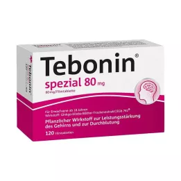 TEBONIN erityiset 80 mg kalvopäällysteiset tabletit, 120 kpl