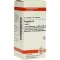 PROPOLIS D 4 tablettia, 80 kpl