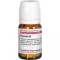 PROPOLIS D 4 tablettia, 80 kpl