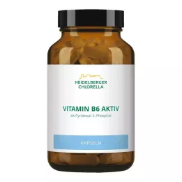 VITAMIN B6 KAPSELI, 120 kpl