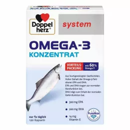 DOPPELHERZ Omega-3 konsentraattijärjestelmän kapselit, 120 kpl