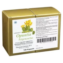 OPUNTIA FEIGENCACTUS Kapseln, 120 kpl