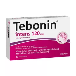TEBONIN intens 120 mg kalvopäällysteiset tabletit, 30 kpl