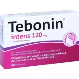 TEBONIN aikomus 120 mg kalvopäällystetyt tabletit, 60 kpl