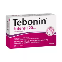 TEBONIN intens 120 mg kalvopäällysteiset tabletit, 60 kpl