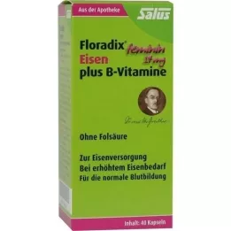 FLORADIX Rauta plus B -vitamiineja, 40 kpl