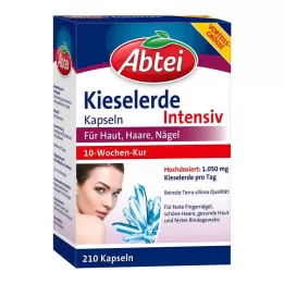 ABTEI Piidioksidikapselit, 210 kpl