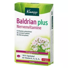 KNEIPP Valerian plus hermovitamiinit rakeet, 40 kpl