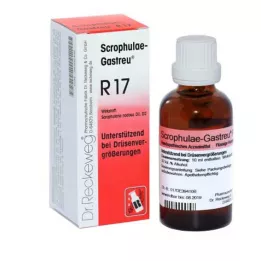 SCROPHULAE-Gastreu R17 -sekoitus, 22 ml