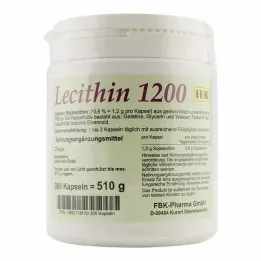 LECITHIN 1200 kapselia, 300 kpl