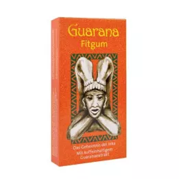 GUARANA FITGUM Purupalat, 2x12 kpl