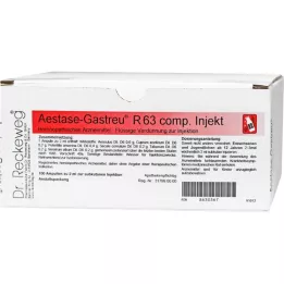 AESTASE-Gastreu R63 comp Injektioampullit, 100X2 ml