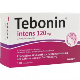 TEBONIN aikomus 120 mg kalvopäällystetyt tabletit, 120 kpl
