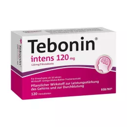 TEBONIN intens 120 mg kalvopäällysteiset tabletit, 120 kpl