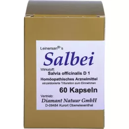 SALBEI Kapselit, 60 kpl