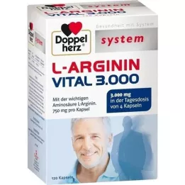 DOPPELHERZ L-arginiini Vital 3000 järjestelmän kapselia, 120 kpl