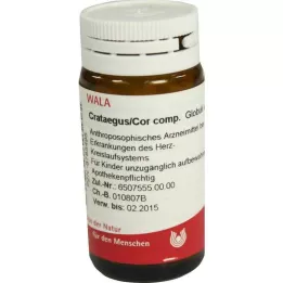 ARNICA E Planta tota D 2 Globuli, 20 g