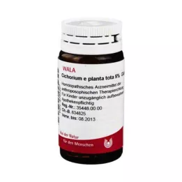 CICHORIUM E planta yhteensä 5 % pallosia, 20 g