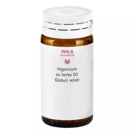 HYPERICUM EX Herba D 2 Globuli, 20 g