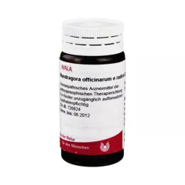 MANDRAGORA OFFICINARIUM e radice D 4 Globuli, 20 g